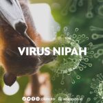 Staying Safe from Nipah Virus Video Tiktok
